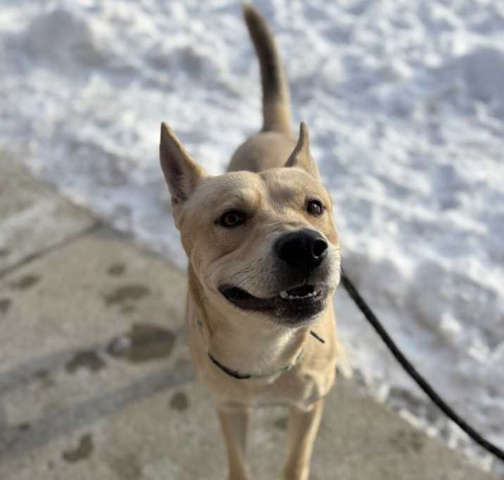 Photo of Cornelius Winterbottom