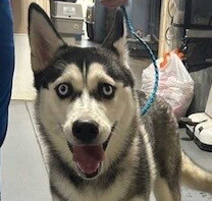 Photo of 25-12-3566 Belle