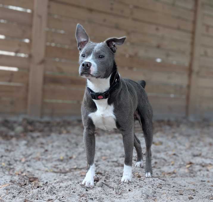 Photo of Seanson 28271