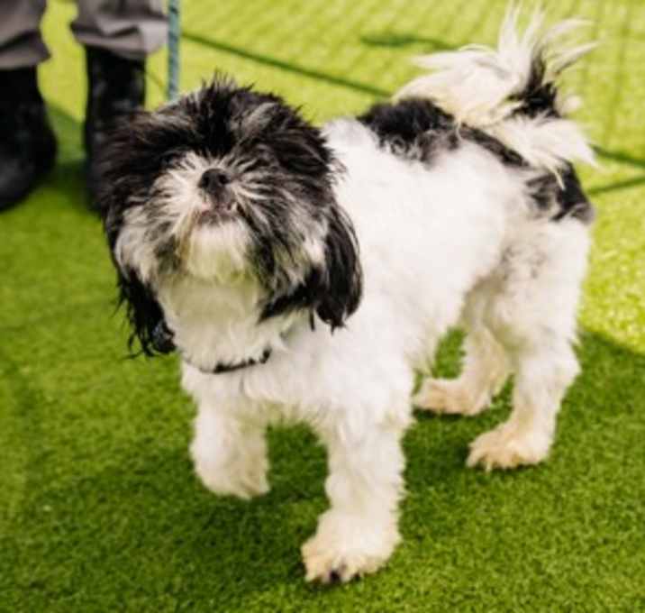 Photo of Lucy Fka Margo