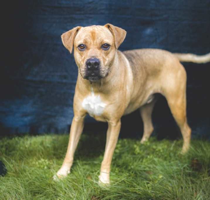 Photo of Bruno Elvis