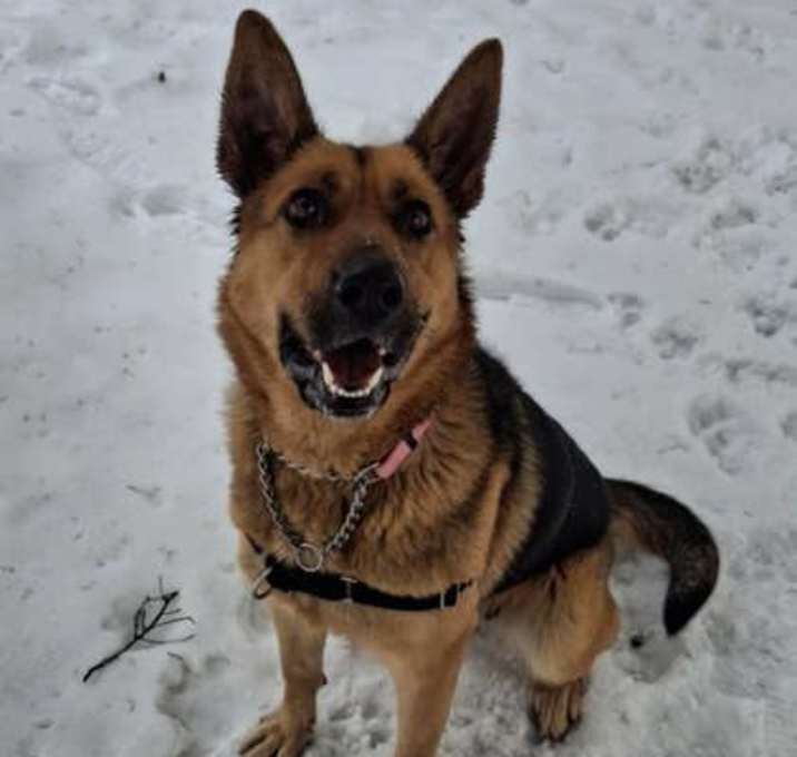 Photo of April - Kitchener