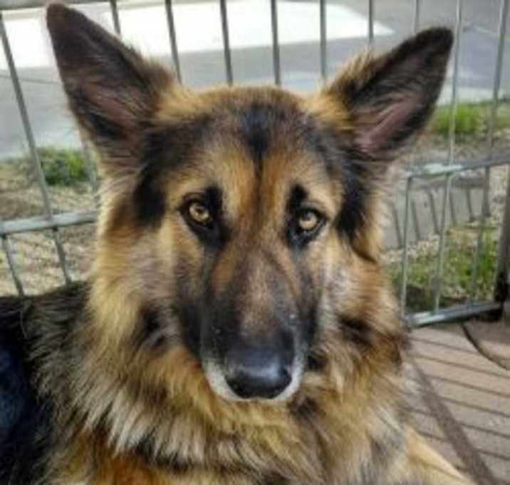 Photo of Thomas Rhett