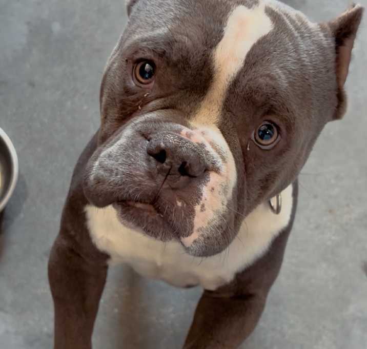 Photo of Swag A2244206