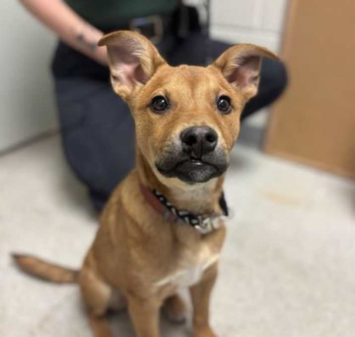 Photo of *CRUNCHWRAP*