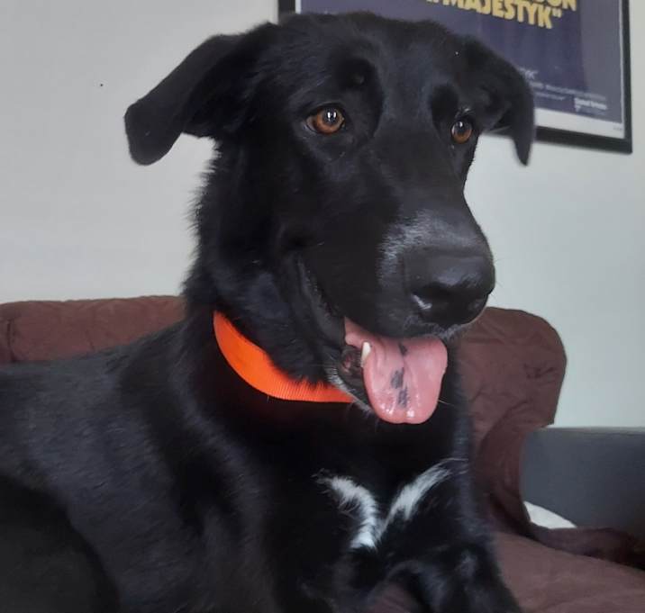 Photo of Kelly JuM/PF