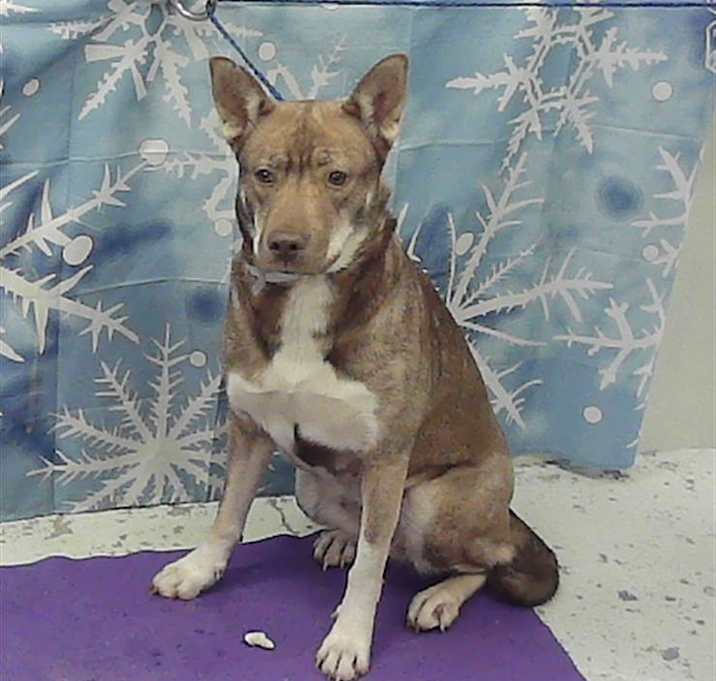 Photo of KAGOME WINTER