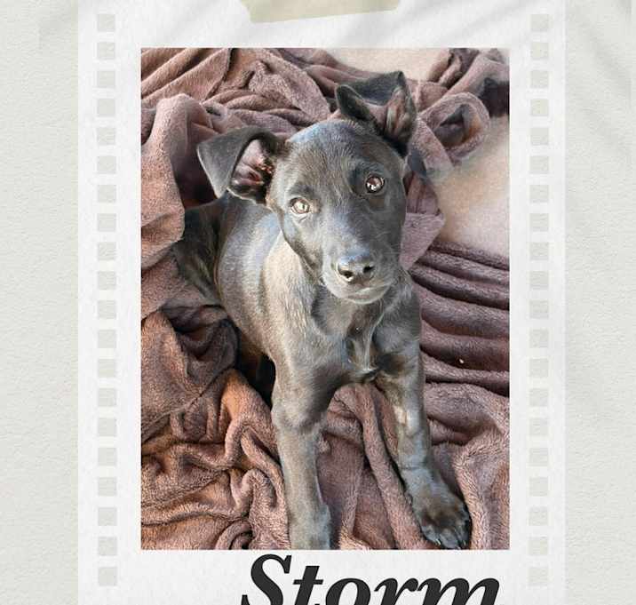 Photo of Storm