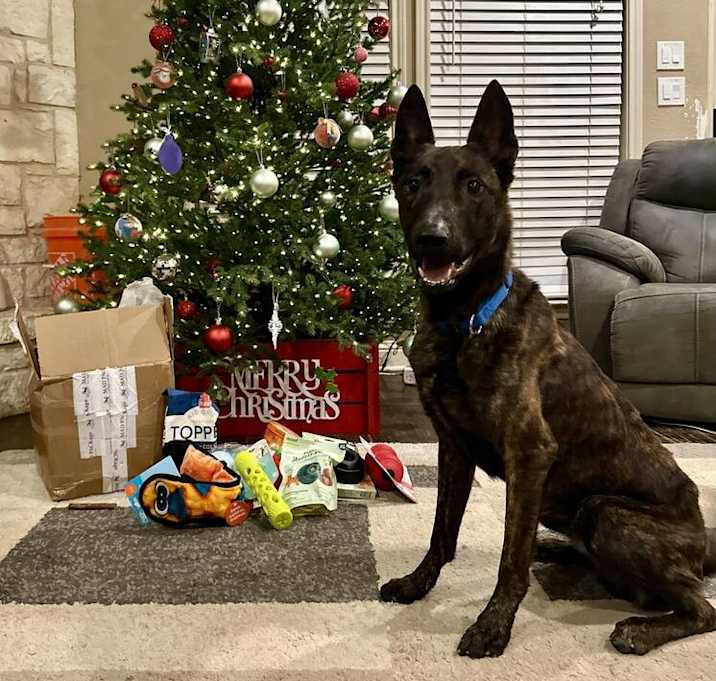 Photo of Chunk- Located in Texas