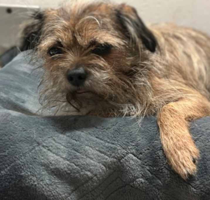 Photo of Barnaby Cornelius