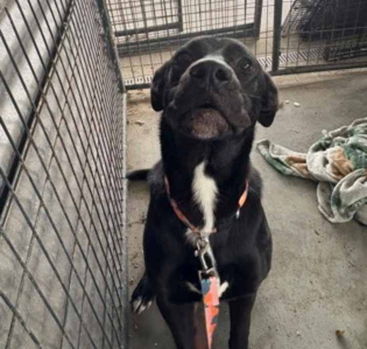 Photo of Encyclopedia