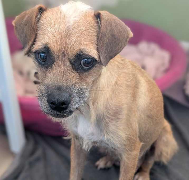 Photo of Sandy Cheeks