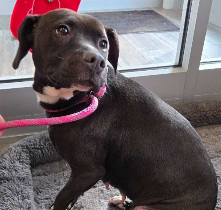 Photo of Icelyn Yrly 490/36