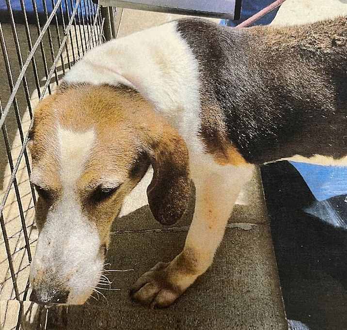 Photo of 052461 - Tilly