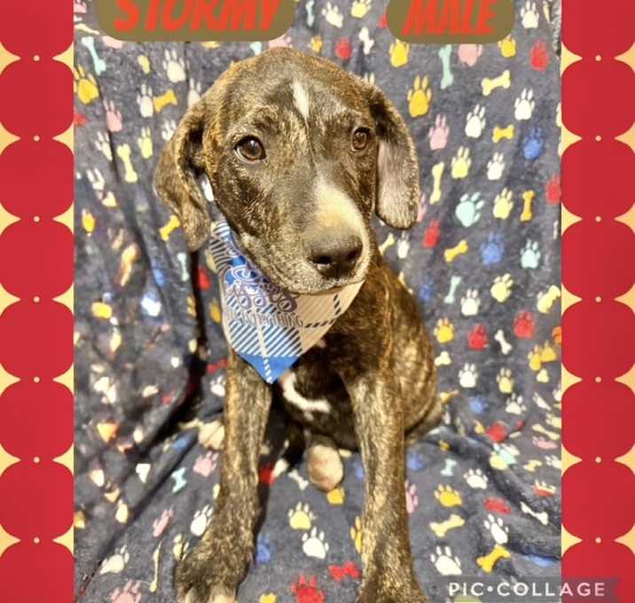 Photo of Stormy meet me 12/20