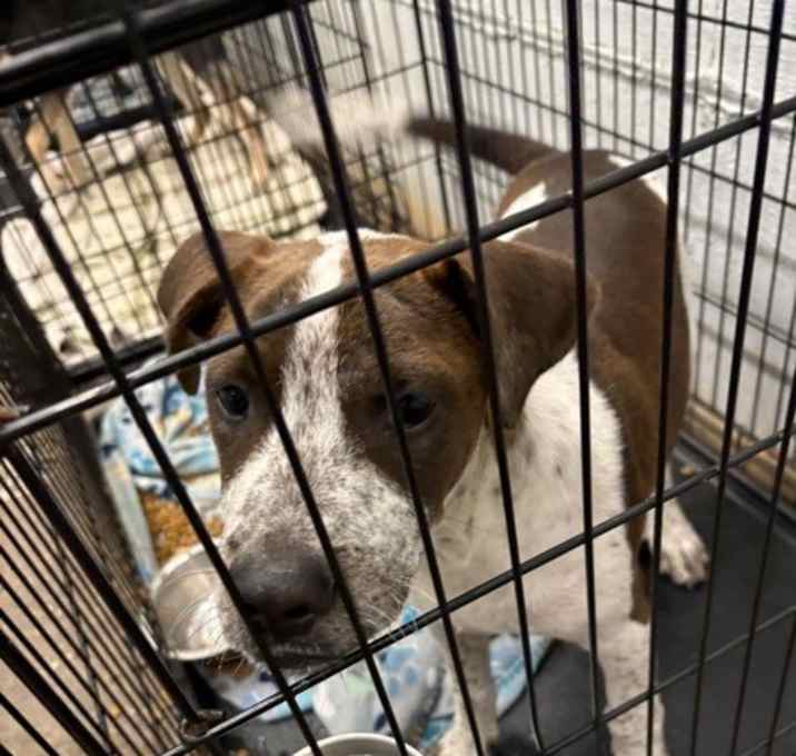 Photo of Big Gambino