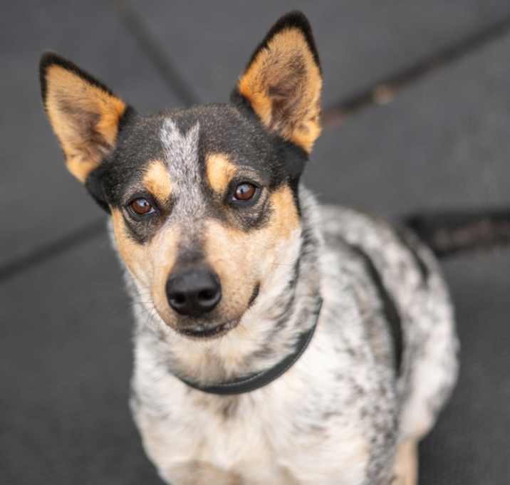 Photo of Little Lady