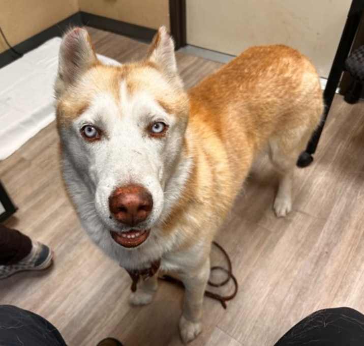 Photo of Mr. Riggles