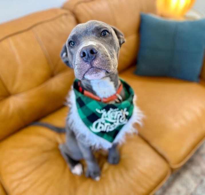 Photo of Cheeto Your cheesy lover boy