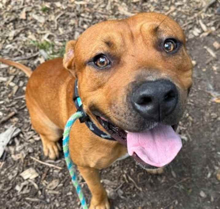 Photo of Seward (Money)