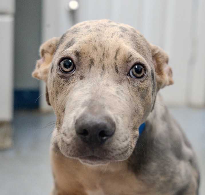 Photo of Finkelstein 