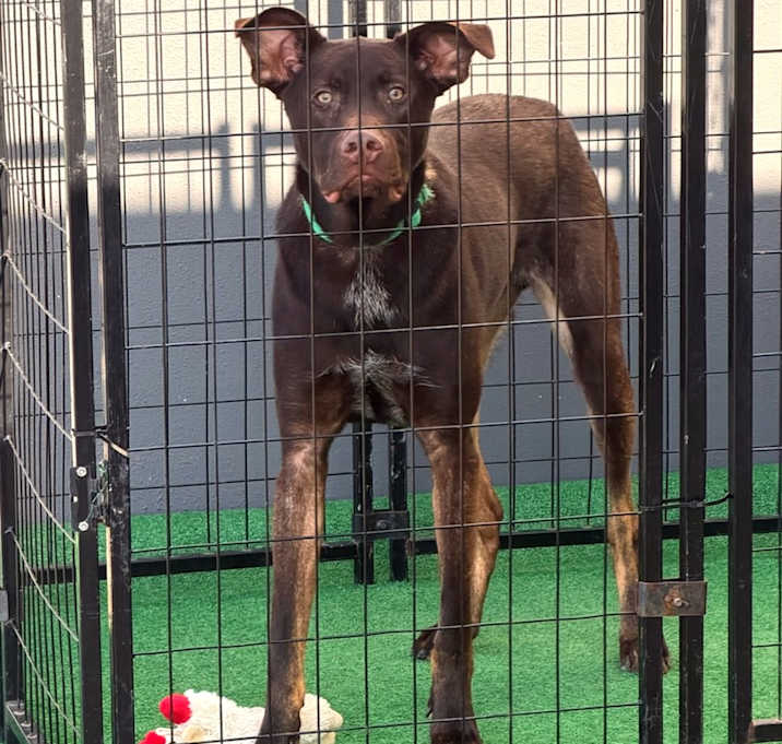 Photo of Teddy fka Gus