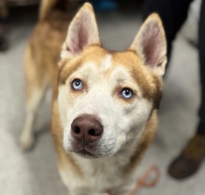 Photo of Rock'n'Roll McDonalds