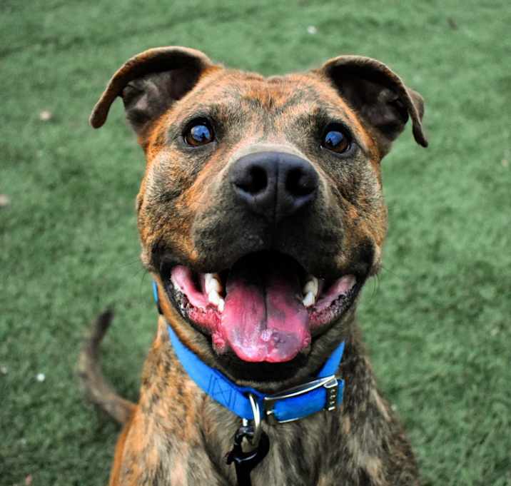 Photo of Champ Norman