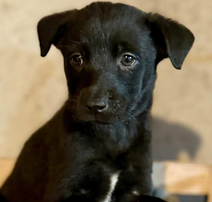 Photo of Champ Pagne