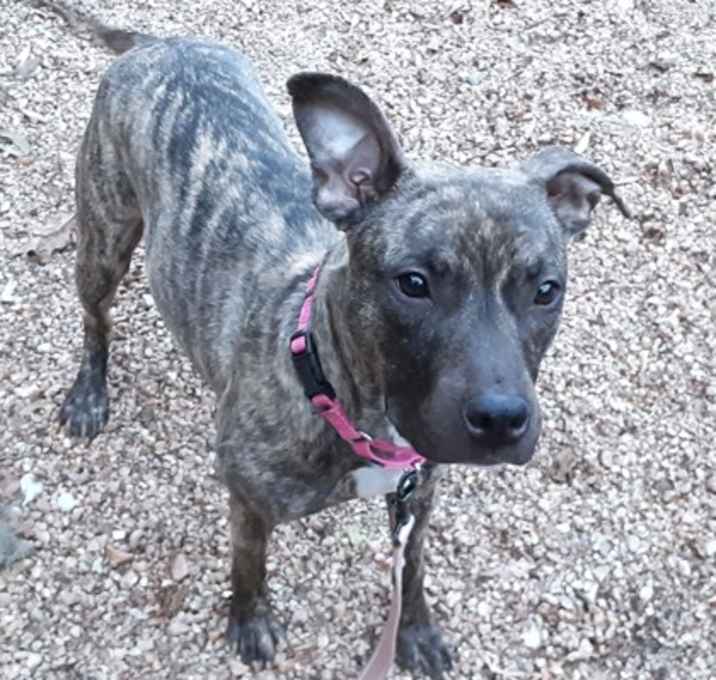 Photo of Sniffany Haddish