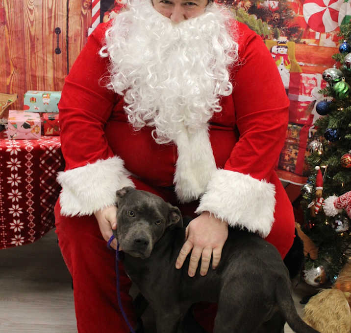 Photo of Forrest Gump