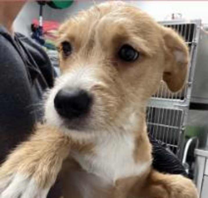 Photo of Egg Space Nog