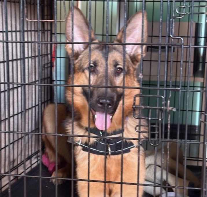 Photo of Fitzcarraldo