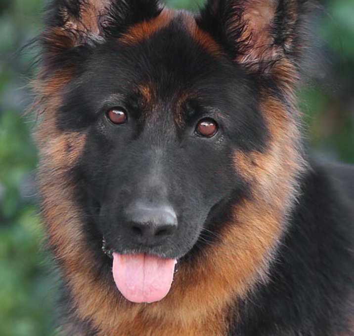 Photo of Azula von Landau