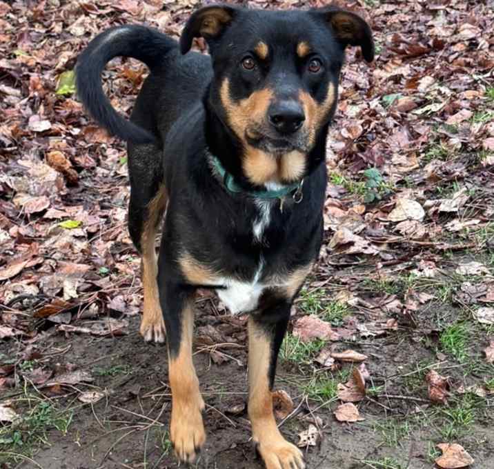 Photo of Boden (mcas)