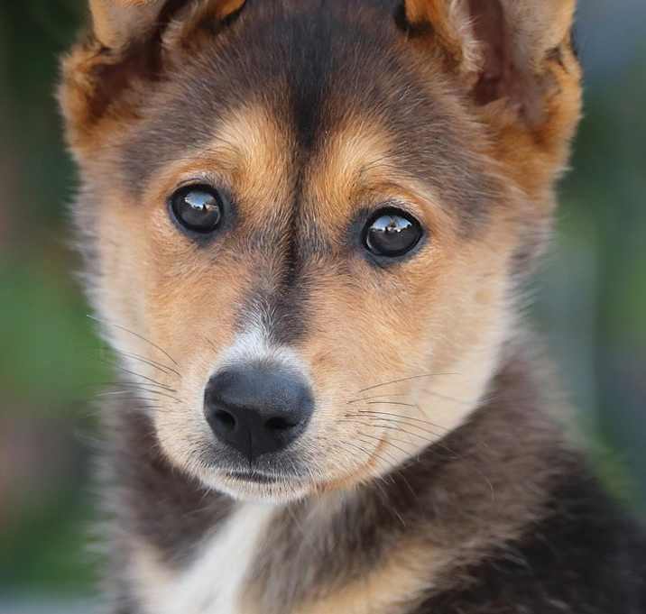 Photo of Mazie von Meppen