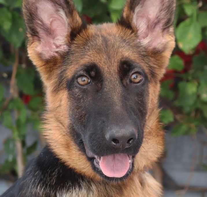 Photo of Athena von Arzbach