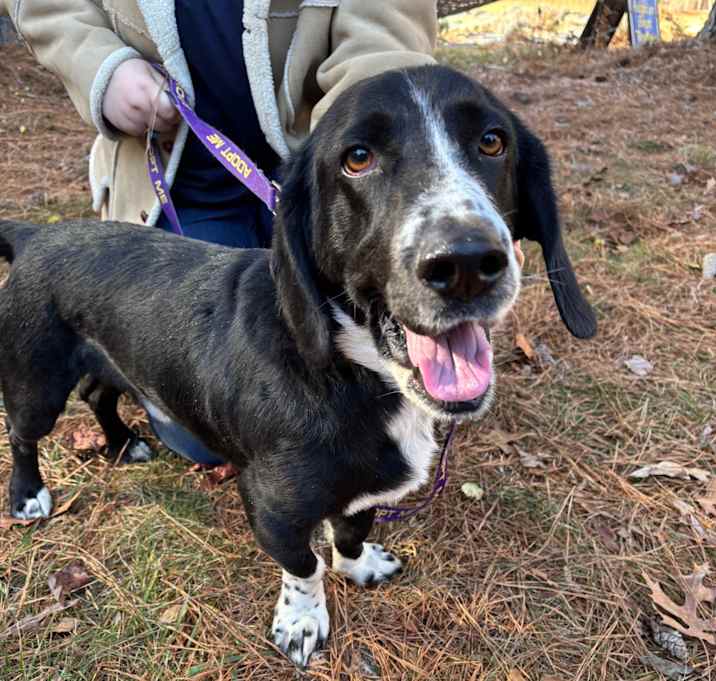 Photo of Flash Gordon 25-1760