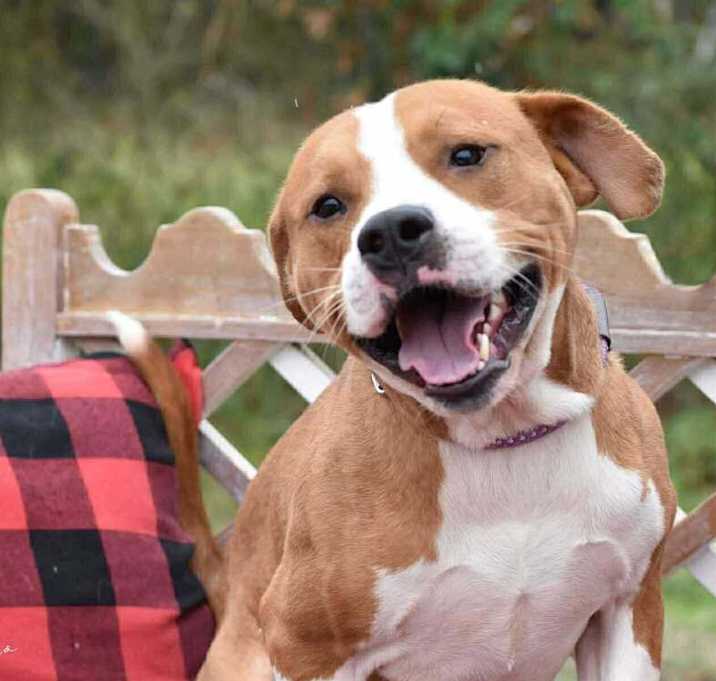 Photo of Marlboro (AVAILABLE 12/21)