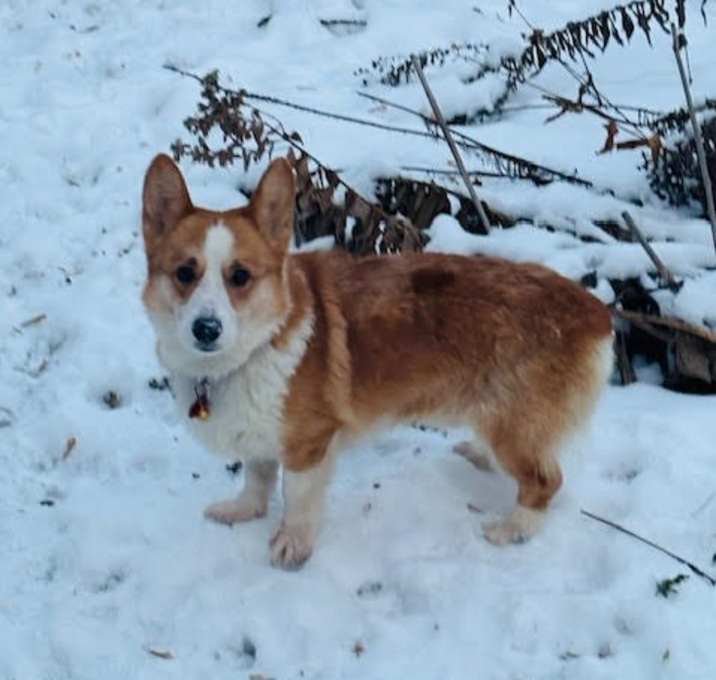 Photo of Dave aka Dolby