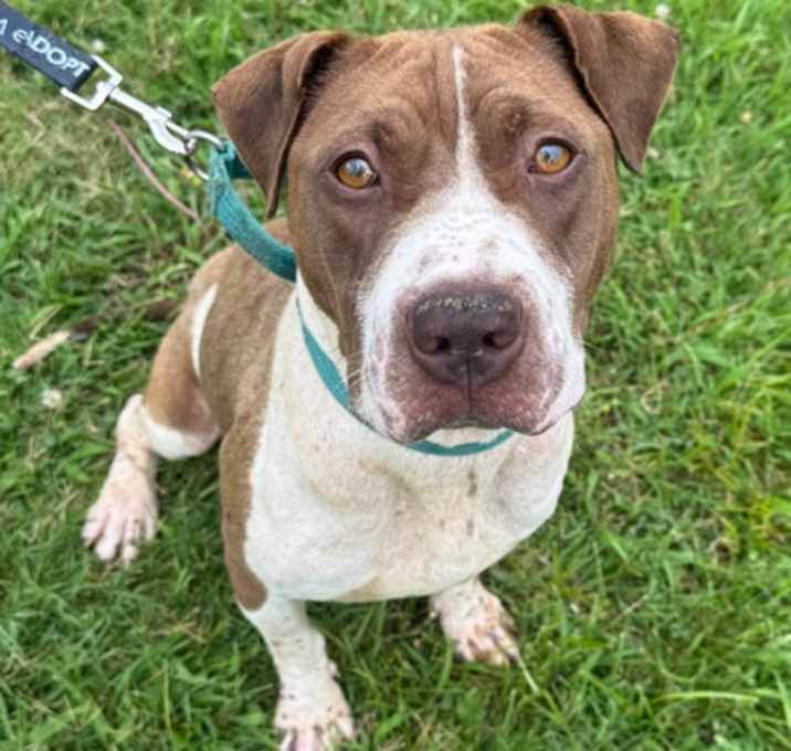 Photo of Wreck it Ralph