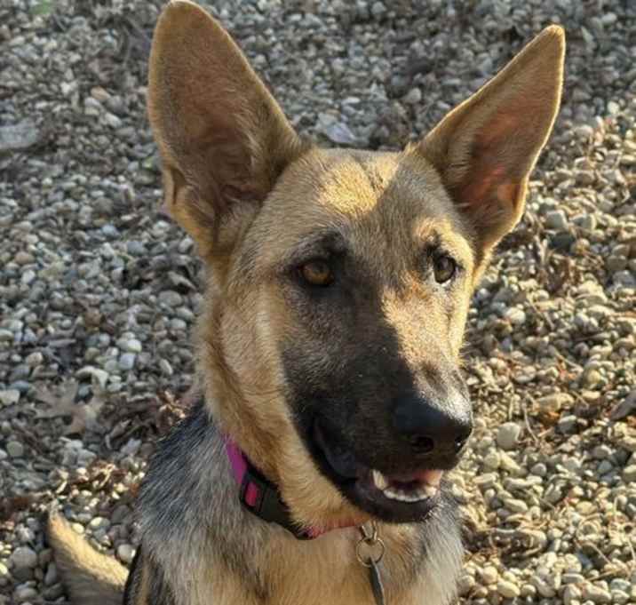 Photo of BELLA - YOUNG GIRL