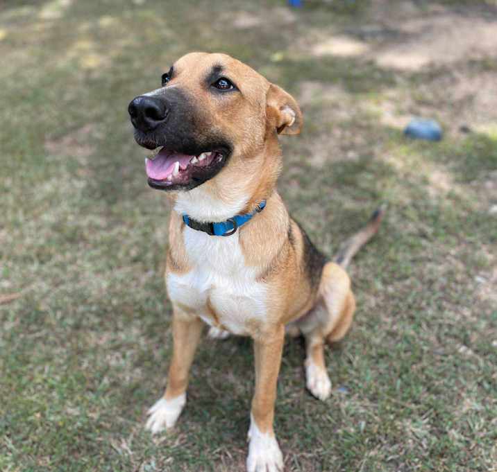 Photo of Cooper Manning