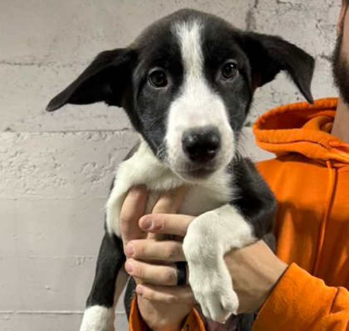 Photo of Holly Holly