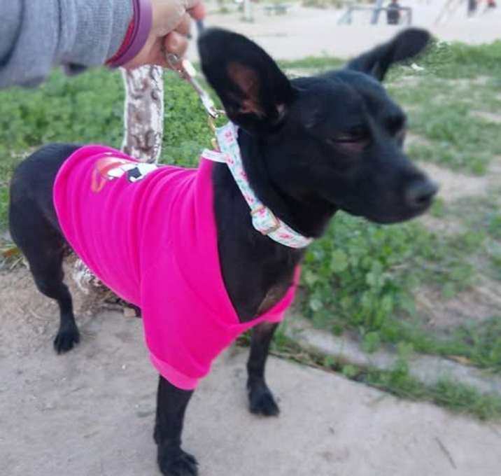 Photo of Bella Stormy