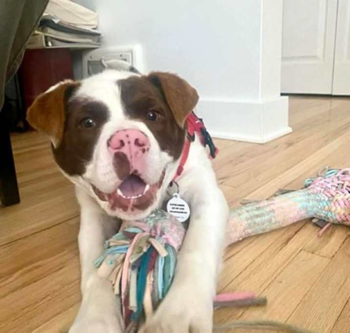 Photo of Kevin Bacon