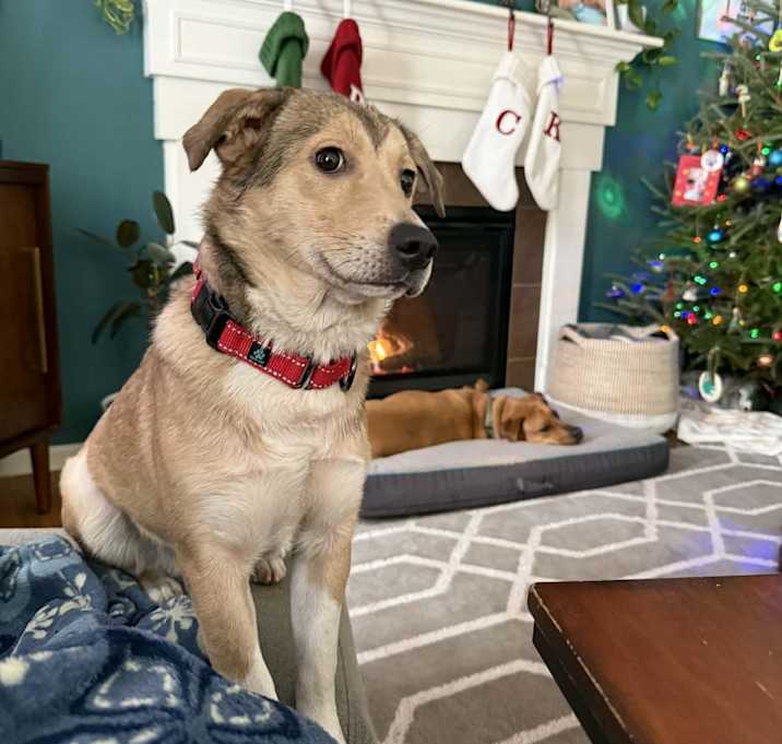 Photo of Lurana aka LuLu