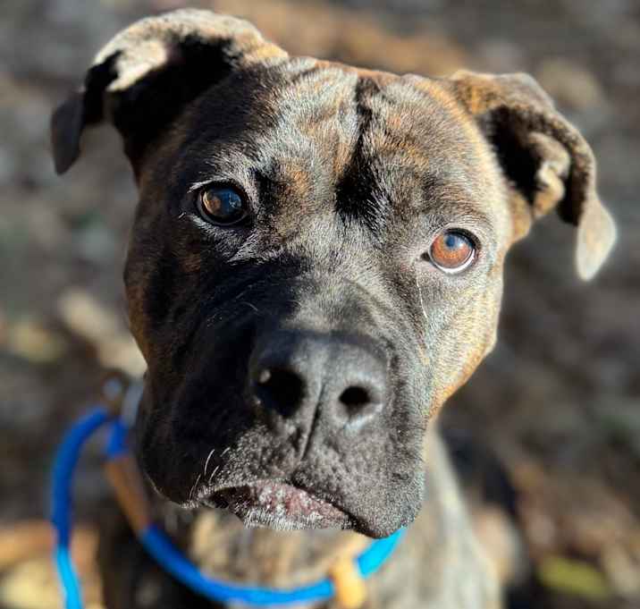 Photo of Mademoiselle