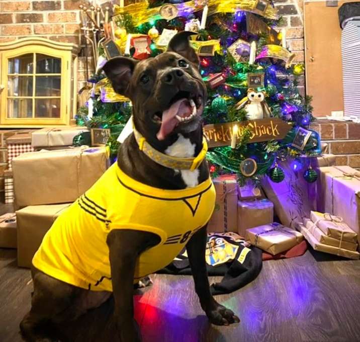 Photo of Bella Bella