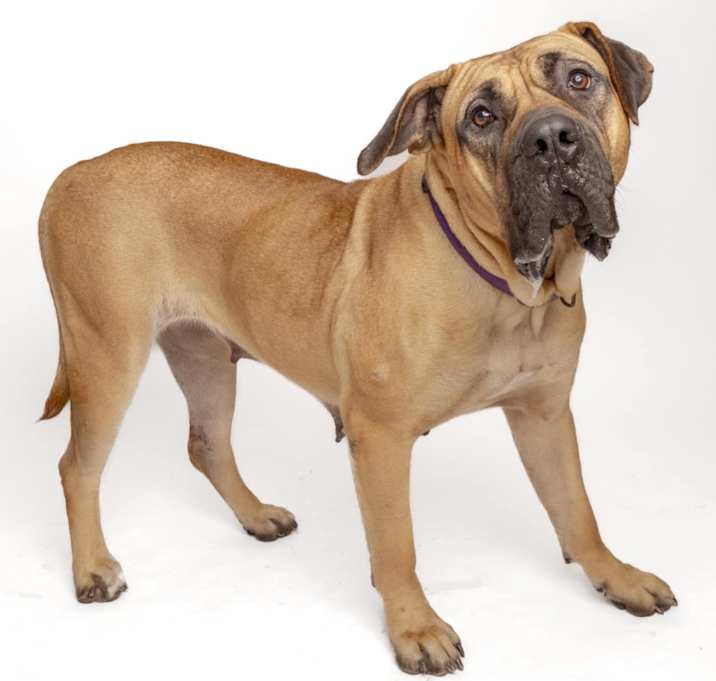 Photo of Novella 🧸